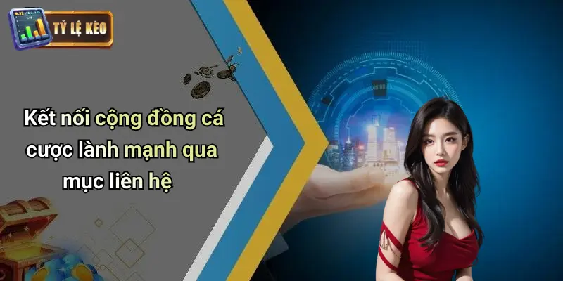 Liên Hệ