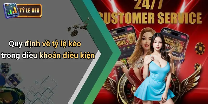 Điều khoản điều kiện 4 Điều Khoản Điều Kiện