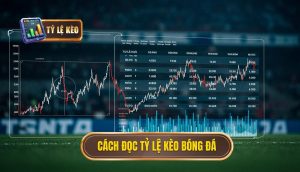 Cách đọc tỷ lệ kèo bóng đá